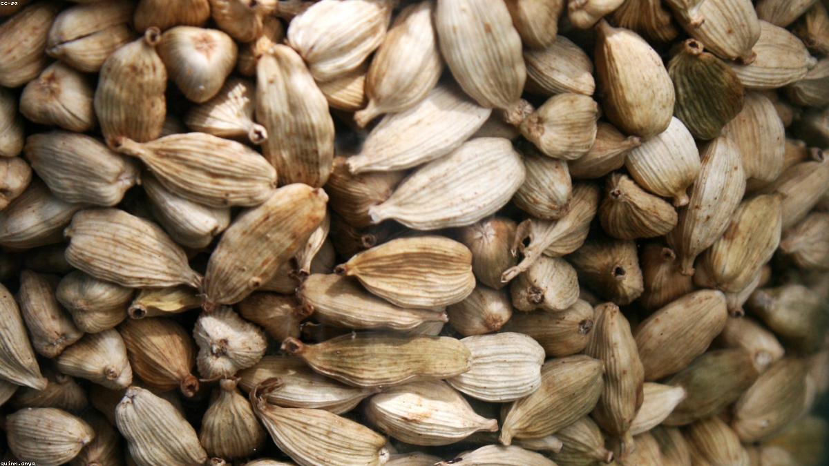 Cardamom