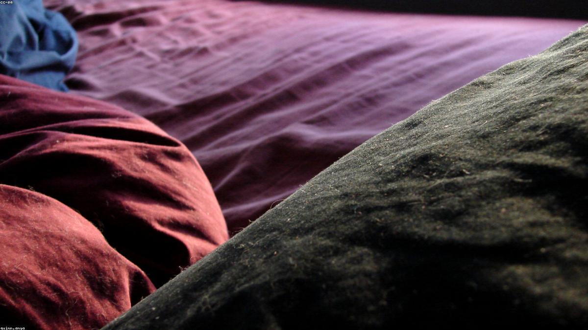Comforters export sourcing