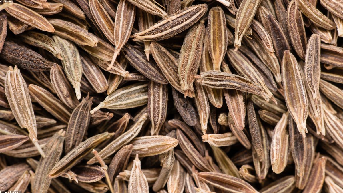 Cumin Seeds