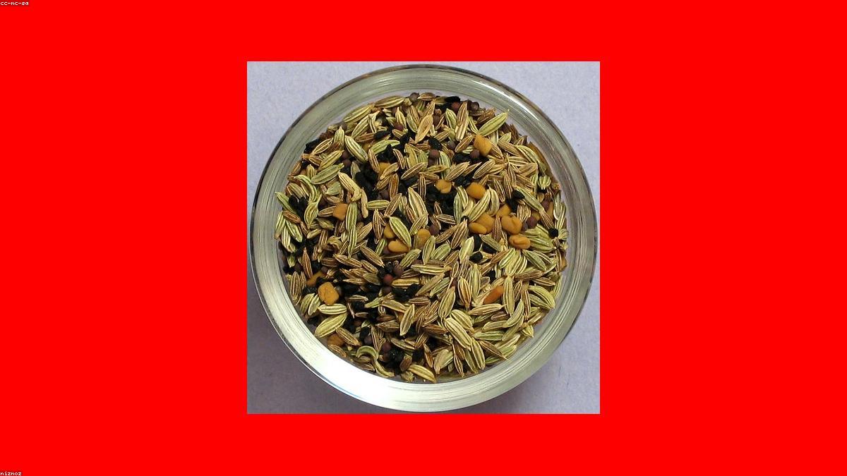 Fenugreek Seeds