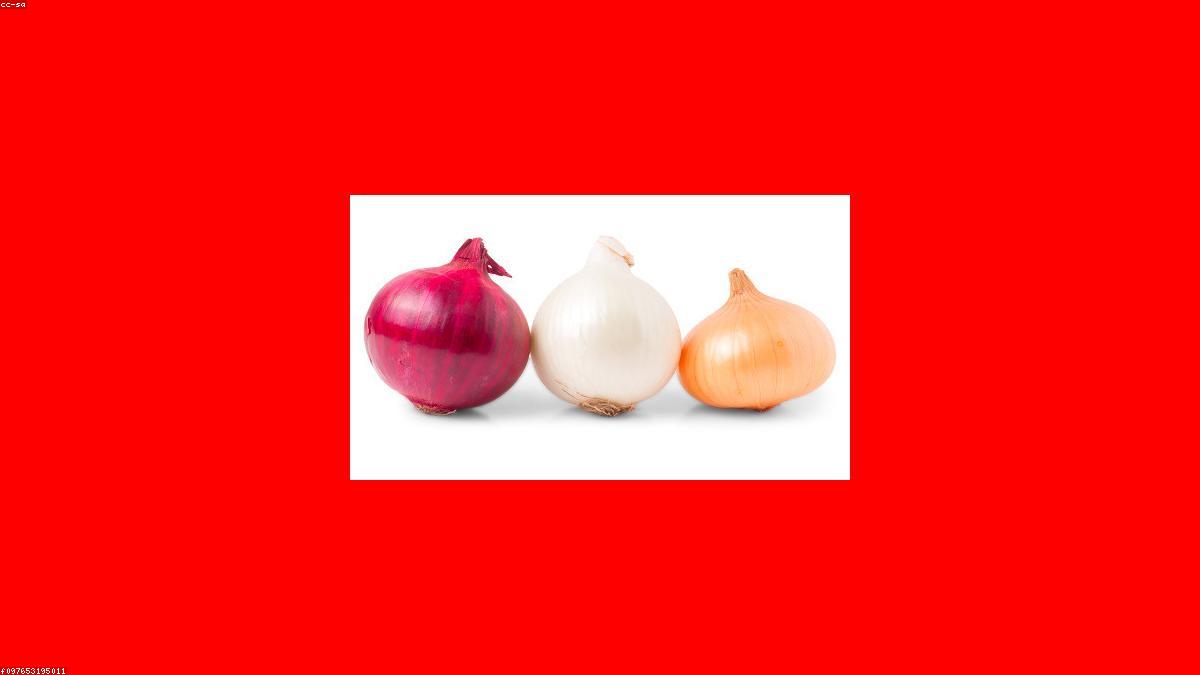Fresh Onion