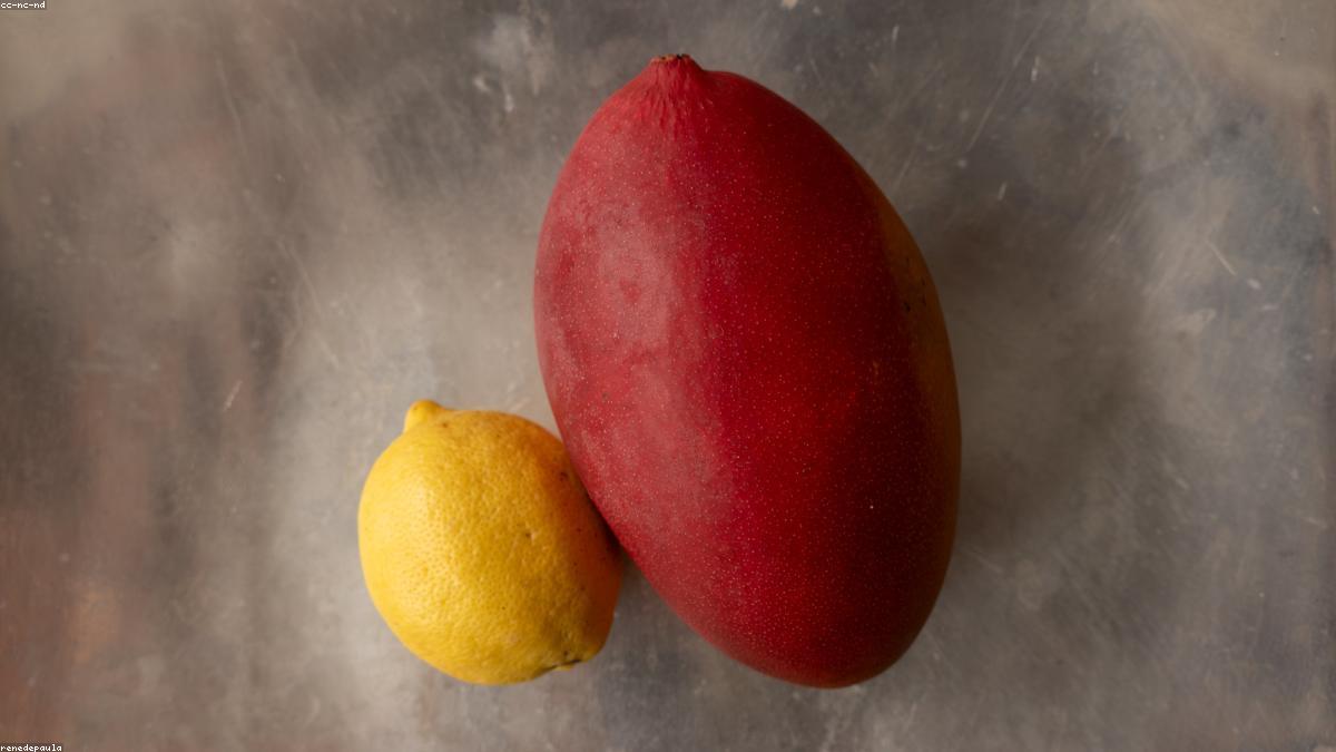 Mango export sourcing