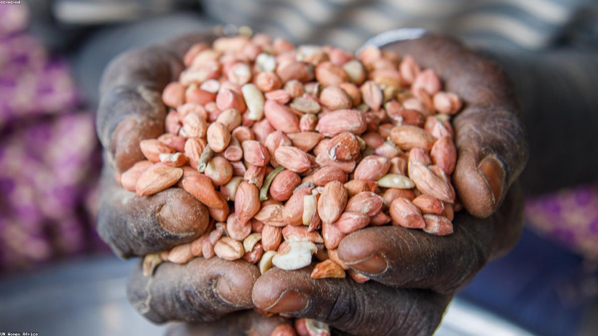 Peanuts export sourcing