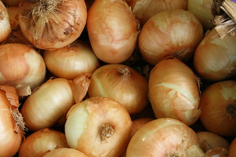 Fresh Onion