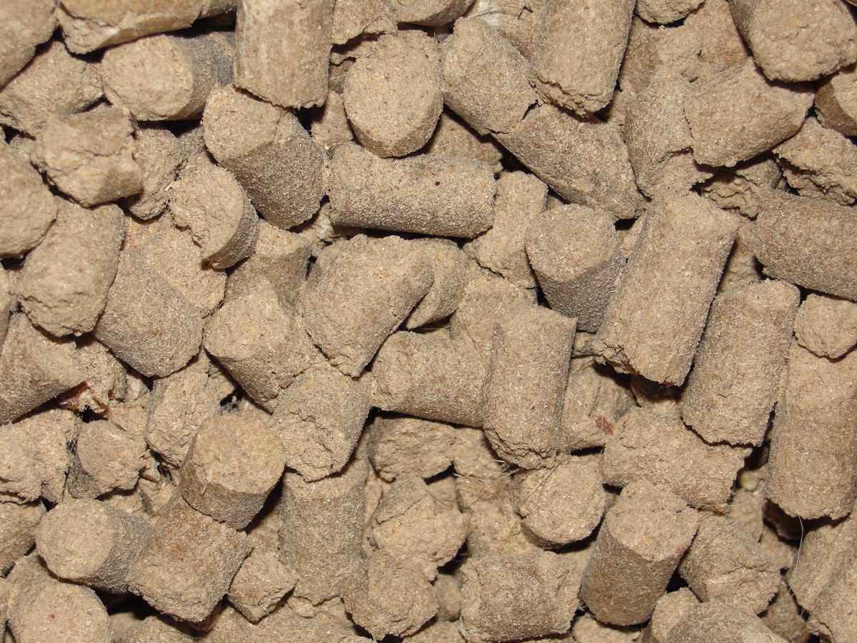 Animal Feed Ingredients