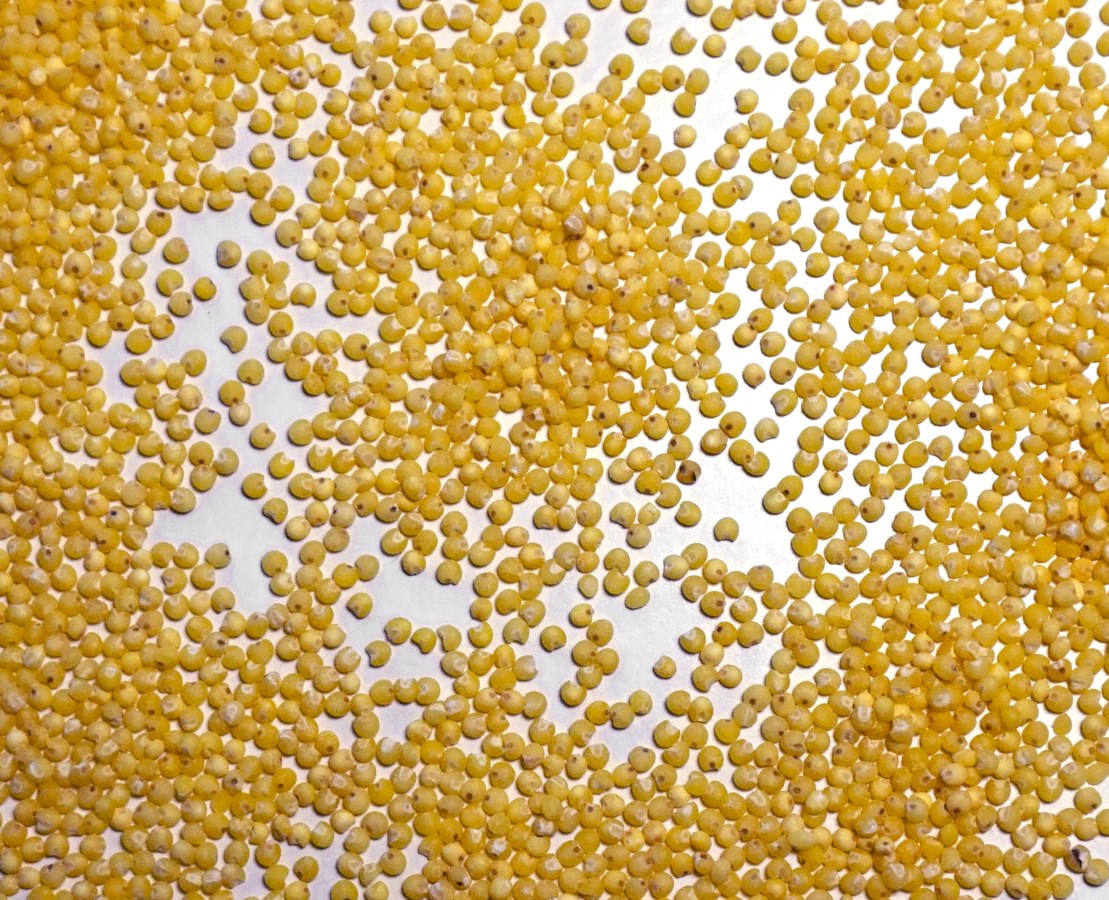 Millets
