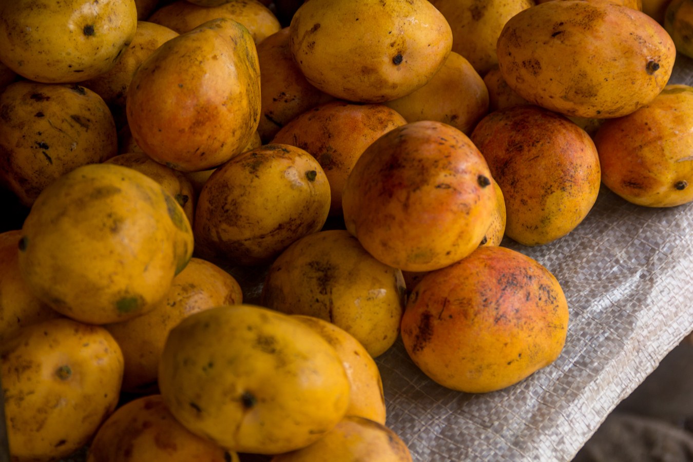 Mango