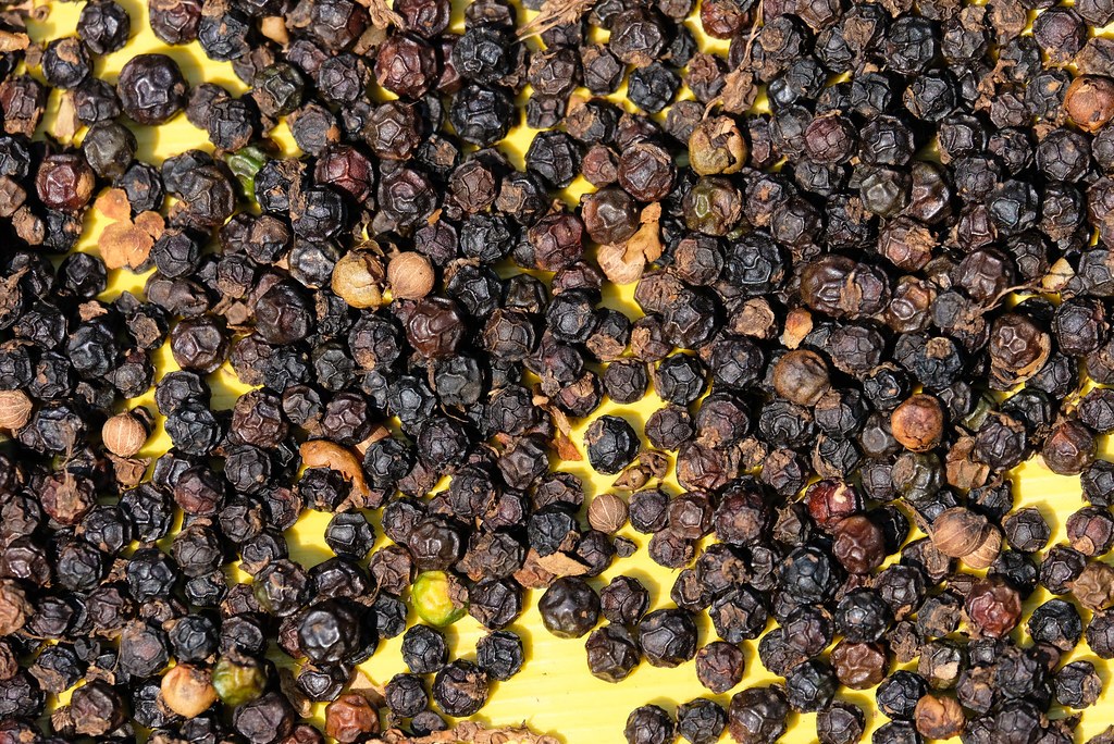 Black Pepper